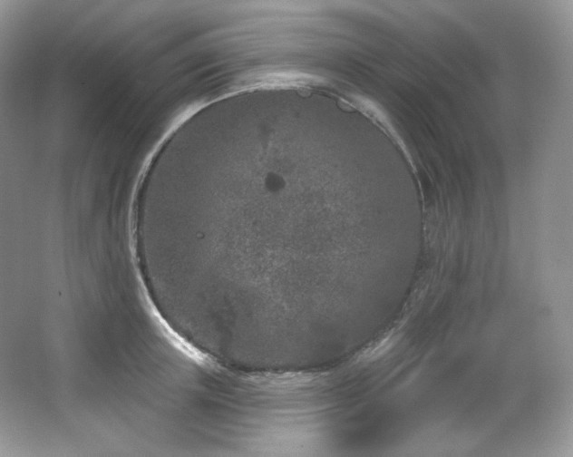 X0000065260851200602171452