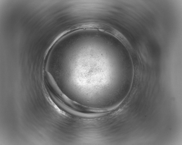 X0000065260852200602171452