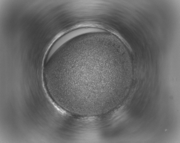 X0000065260853200602171452