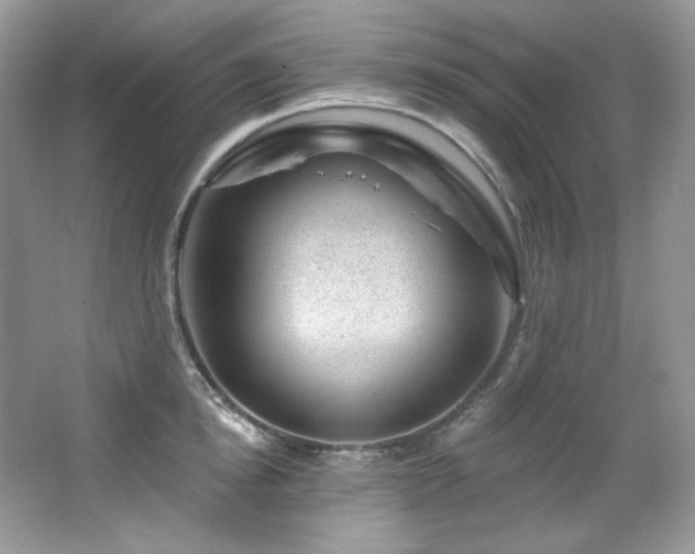 X0000065260854200602171452