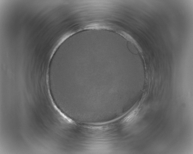 X0000065260855200602171452