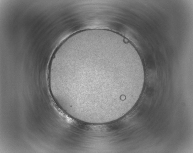 X0000065260856200602171452