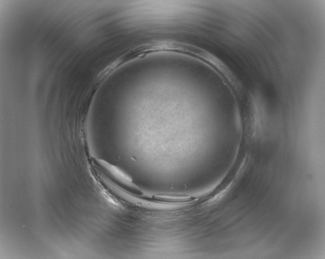 X0000065260857200602171453