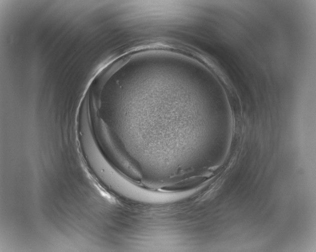 X0000065260858200602171453