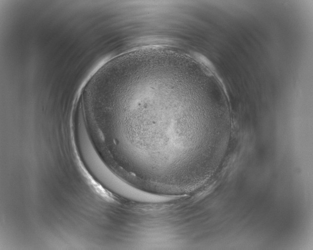 X0000065260859200602171453