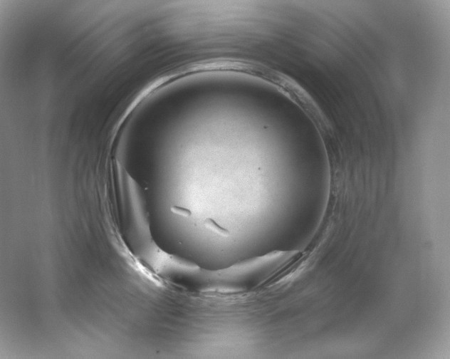 X0000065260860200602171453