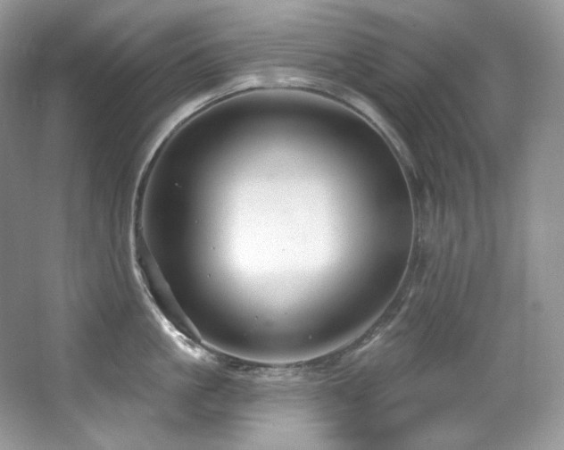 X0000065260861200602171453