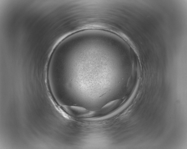 X0000065260862200602171453