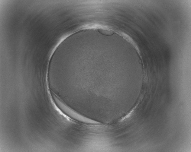 X0000065260863200602171453