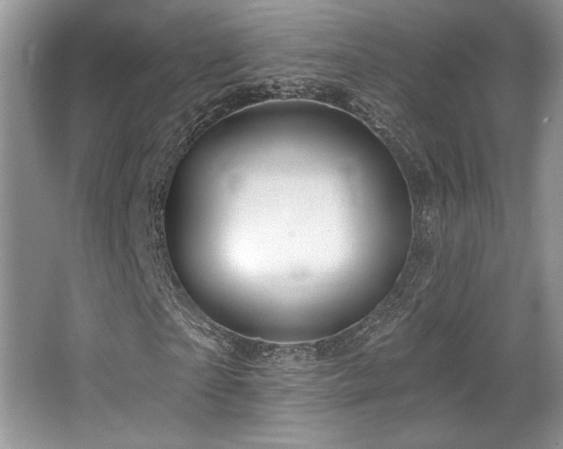 X0000065260865200602171452