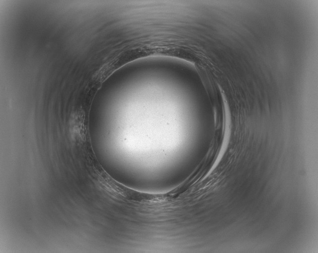 X0000065260867200602171452