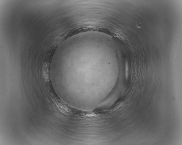 X0000065260868200602171452