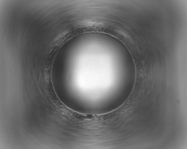 X0000065260869200602171452