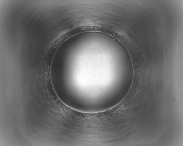 X0000065260870200602171452