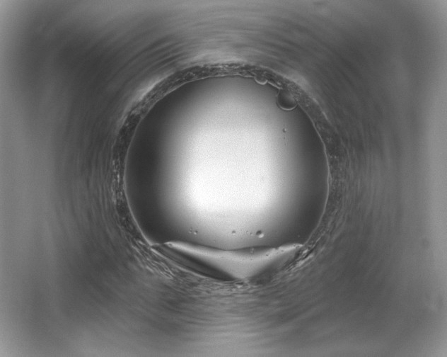 X0000065260871200602171452