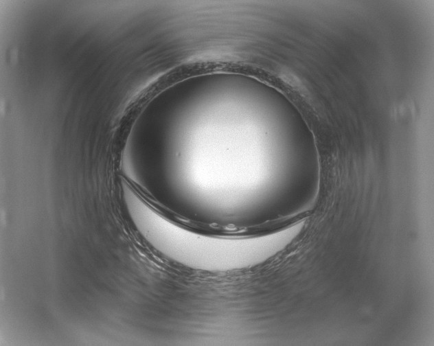 X0000065260872200602171452