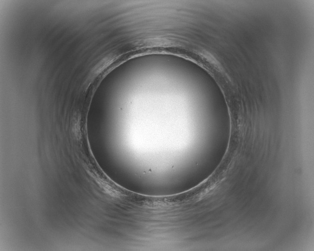 X0000065260873200602171452