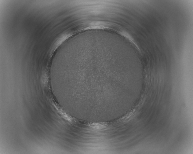 X0000065260874200602171452