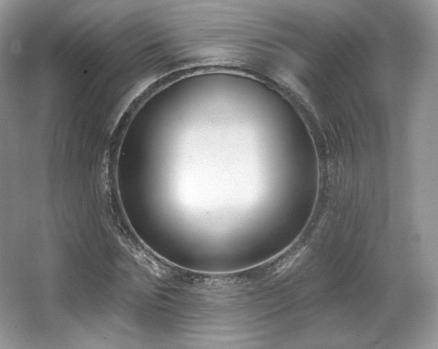 X0000065260875200602171452