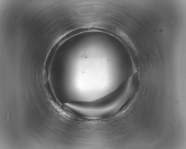 X0000065260876200602171452