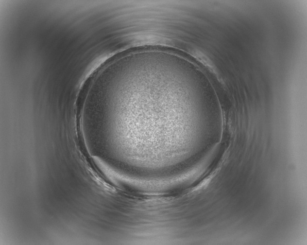 X0000065260877200602171452