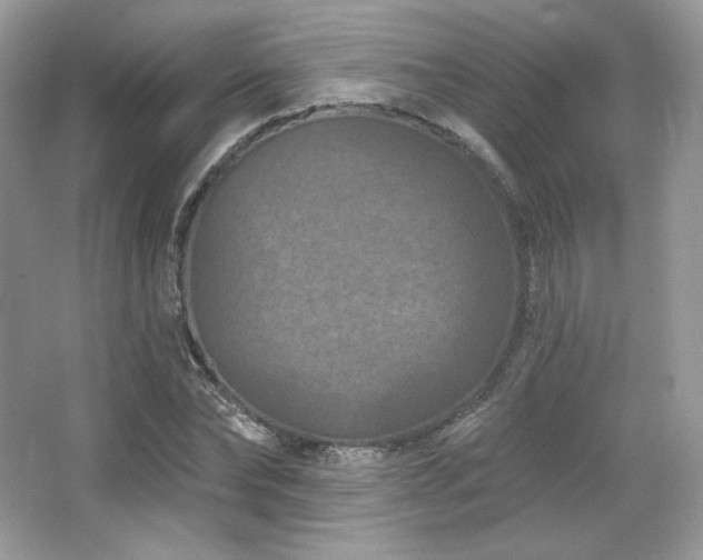 X0000065260878200602171452