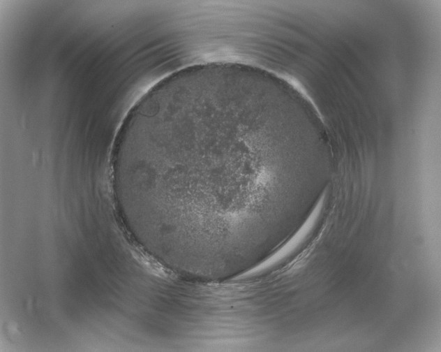 X0000065260879200602171452