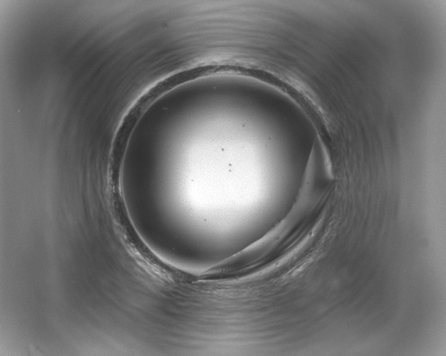 X0000065260880200602171452