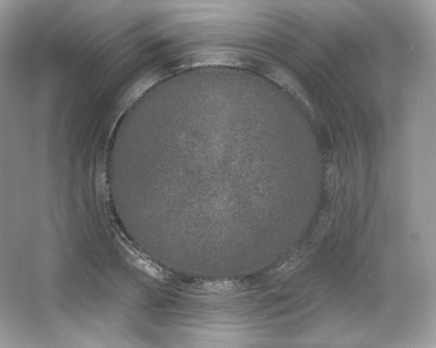 X0000065260882200602171452