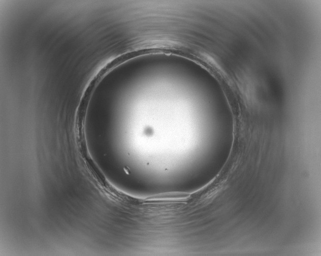 X0000065260883200602171451