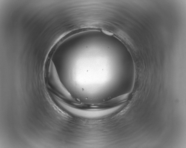 X0000065260884200602171451