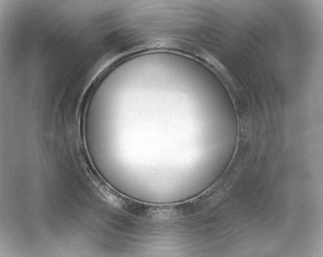 X0000065260886200602171451