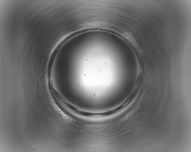 X0000065260888200602171451