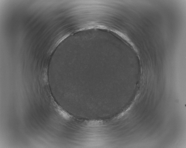 X0000065260889200602171451