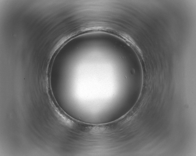 X0000065260890200602171451