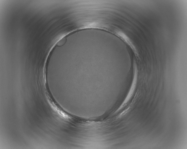 X0000065260892200602171451