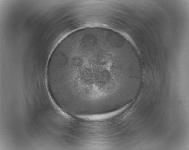 X0000065260895200602171451