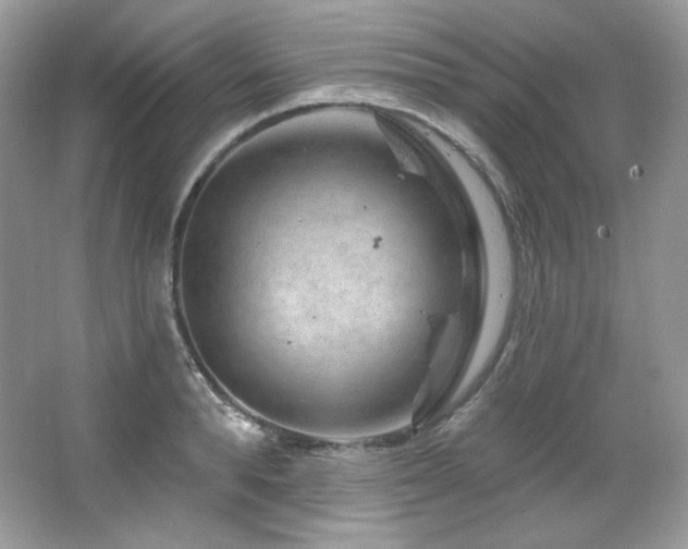 X0000065260896200602171451