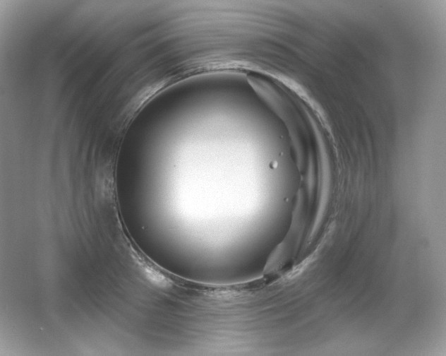 X0000065260897200602171451