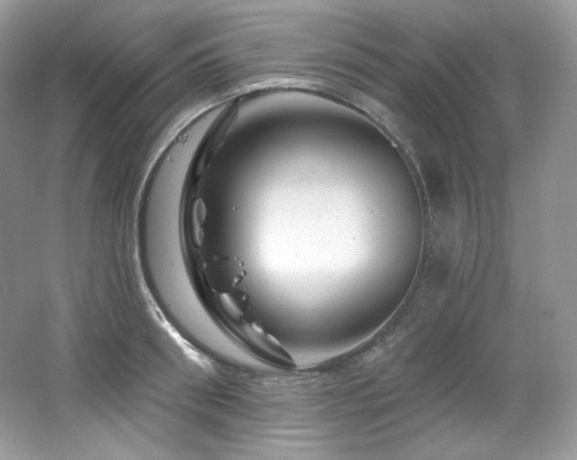 X0000065260898200602171451