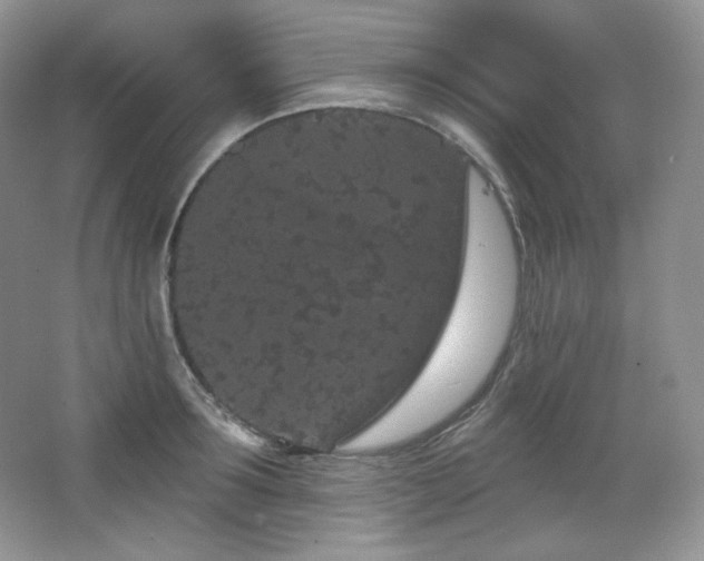 X0000065260899200602171451