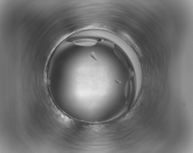 X0000065260900200602171451