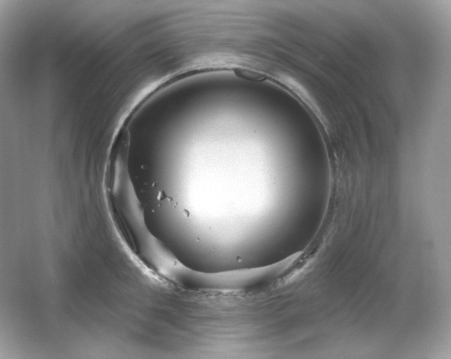 X0000065260901200602171451