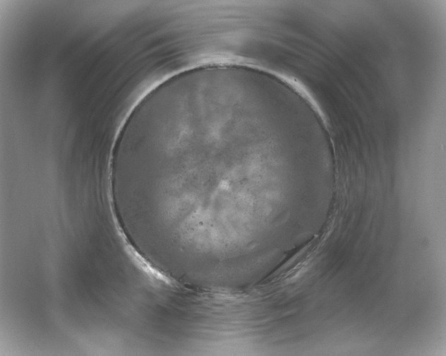 X0000065260903200602171451