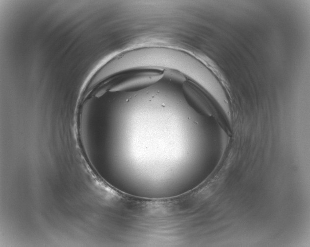 X0000065260904200602171451