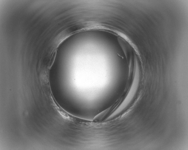 X0000065260905200602171451