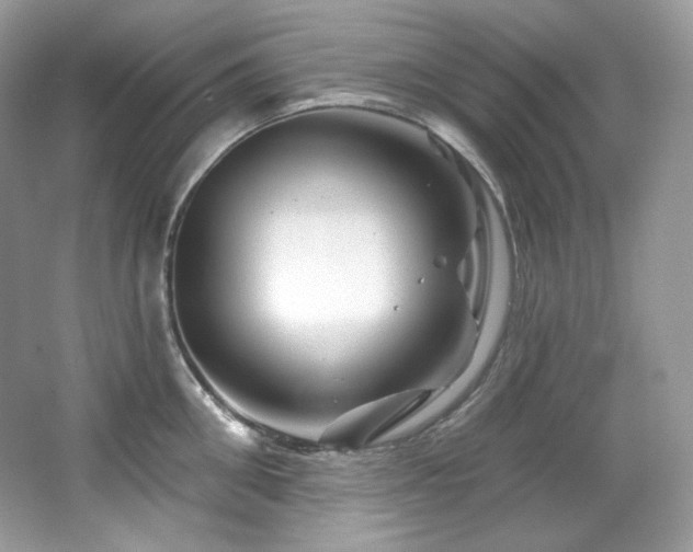 X0000065260906200602171451