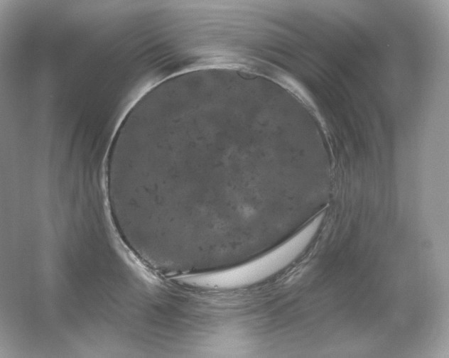 X0000065260907200602171451