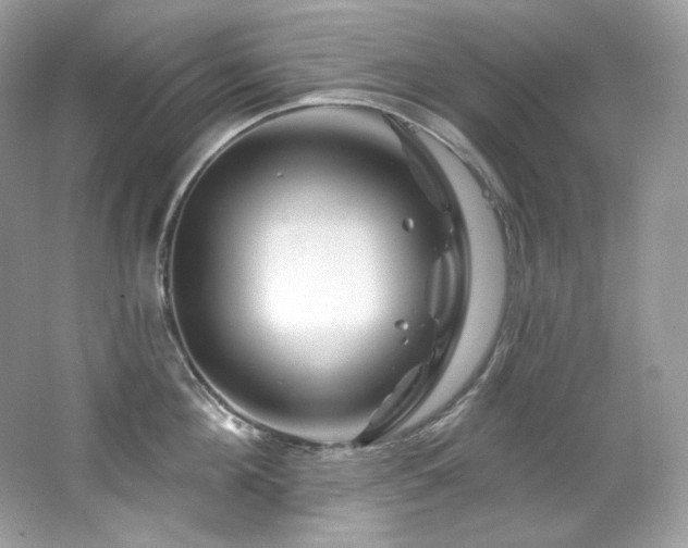 X0000065260908200602171451