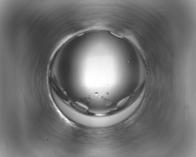 X0000065260910200602171451